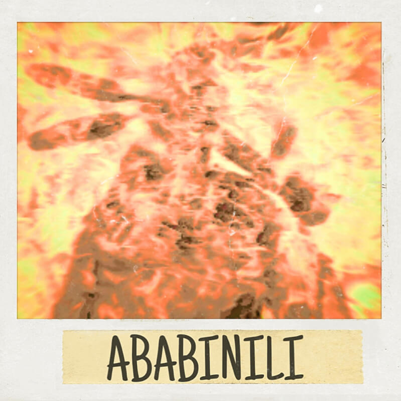 theme-img-alt
