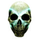 Skull-meth-ex-TKT