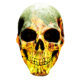 A-skull-pyro-0