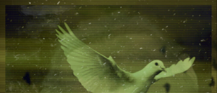 Flight