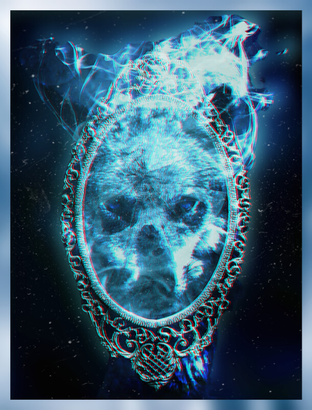 Mirrorwolf