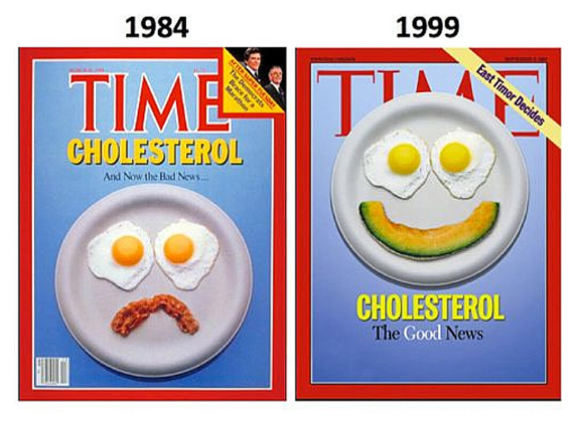 TIME-fat2 TIME-fat2