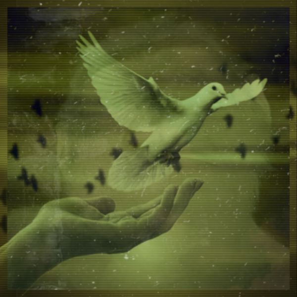 Flight