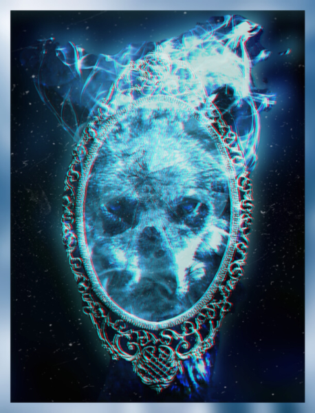 Mirrorwolf