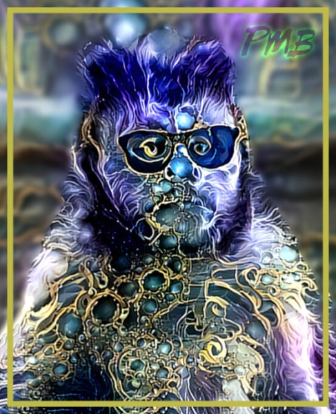 Cool Monkey Cool Monkey