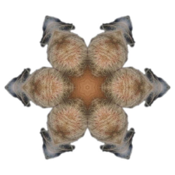 V5 V5