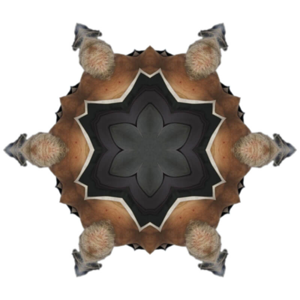 V7 V7