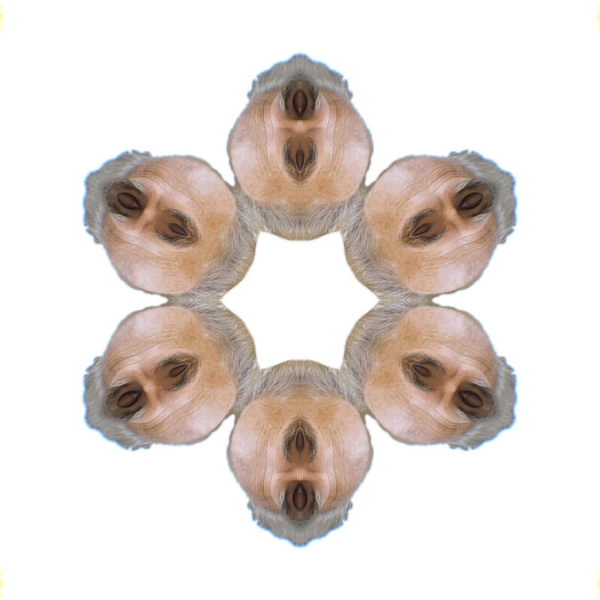 V9 V9