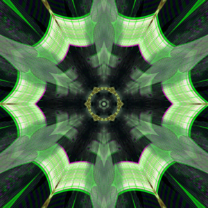Spin Spin