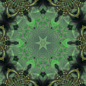 Spin Spin